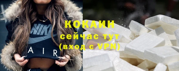 гашик Елизово