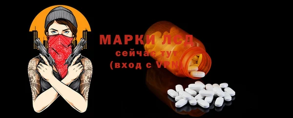 гашик Елизово
