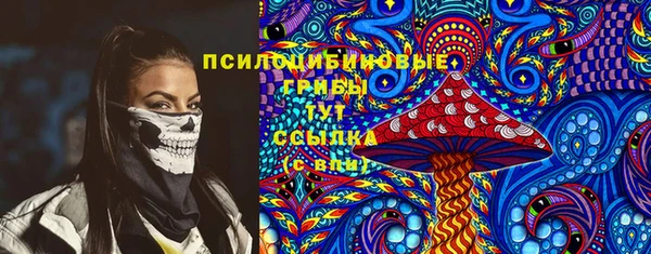 гашик Елизово